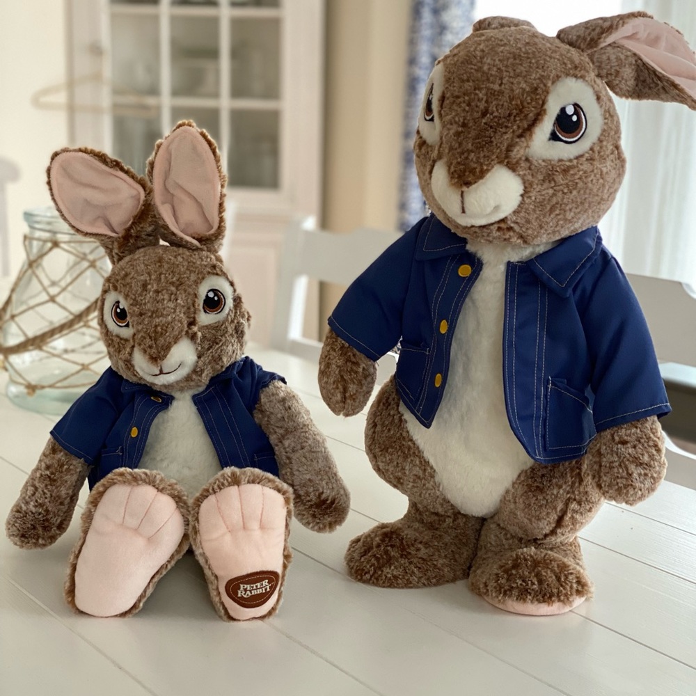 Peter Rabbit EASTER DECORATIONS or UNIQUE GIFT
